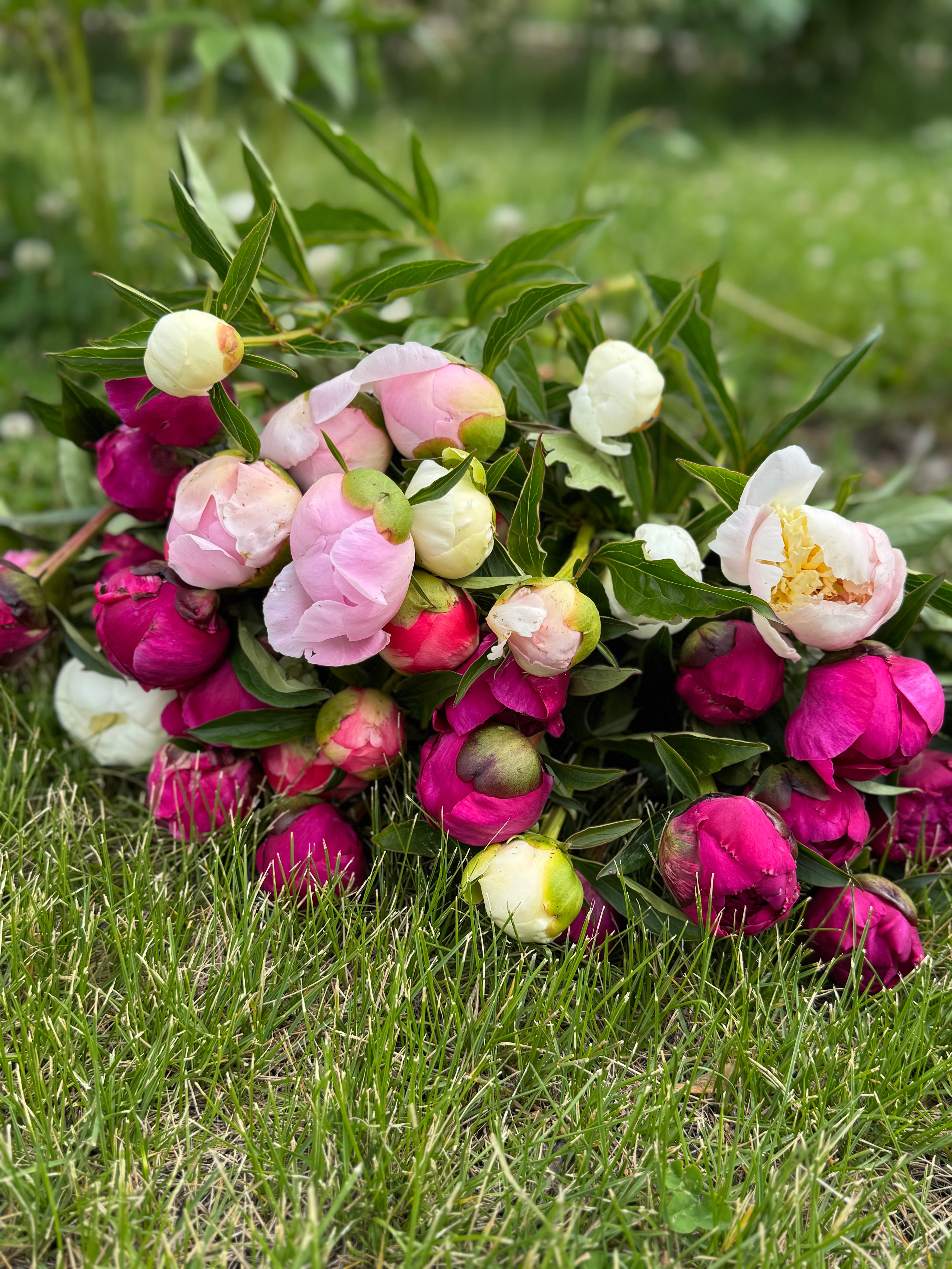 PEONY Lover’s Bouquet